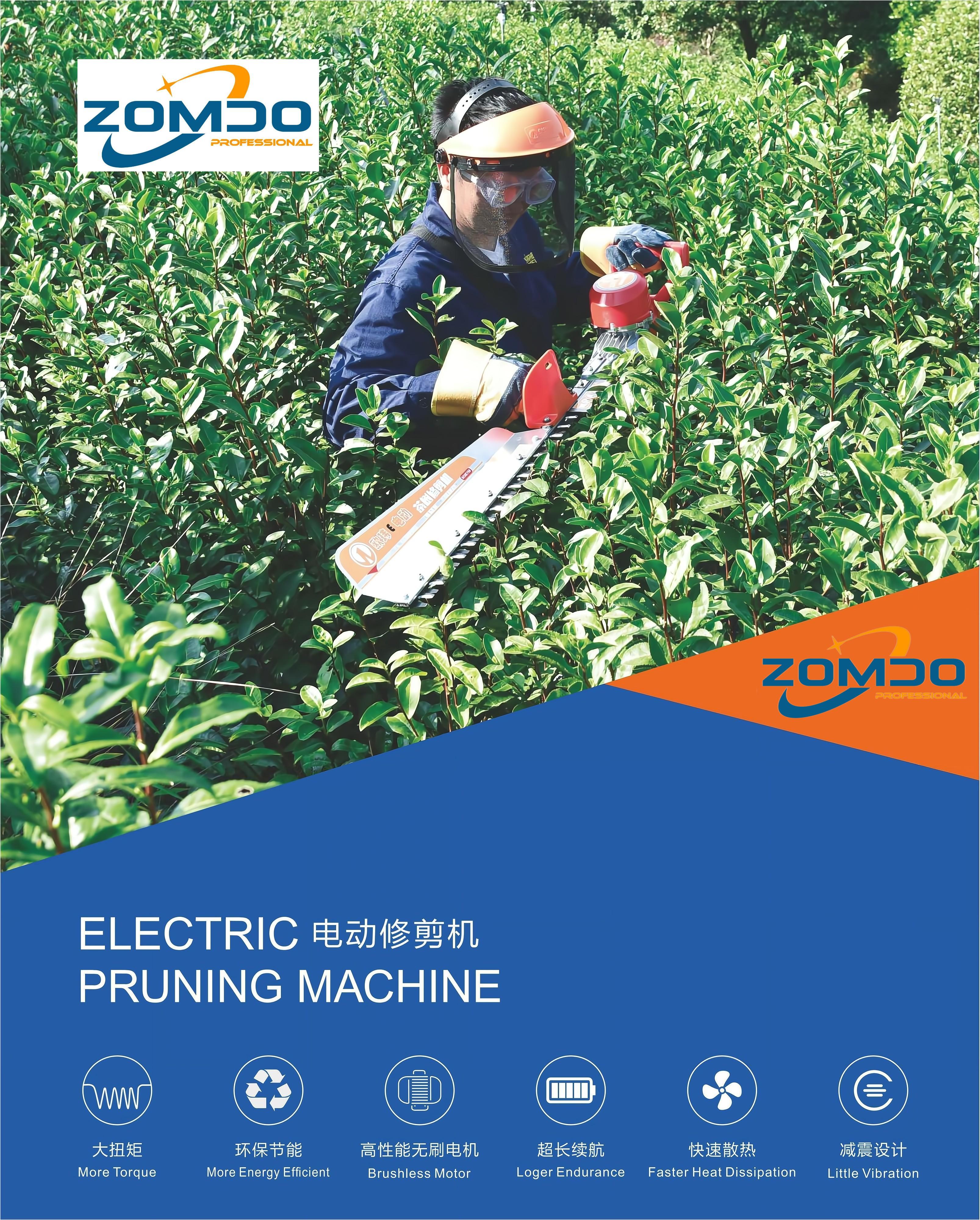 ZD-3CXD650H Double Edge Electric Hedge Trimmer