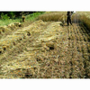 ZD-CG430HM Side-hung Brush Cutter Harvesting Machine